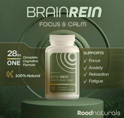 BRAIN REIN